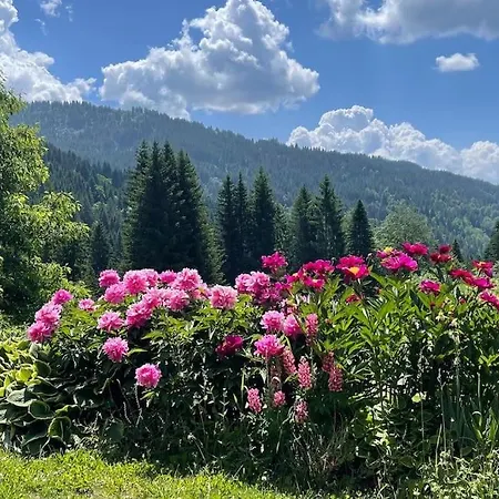 Séjour chez l'habitant D'alpage De Beauregard